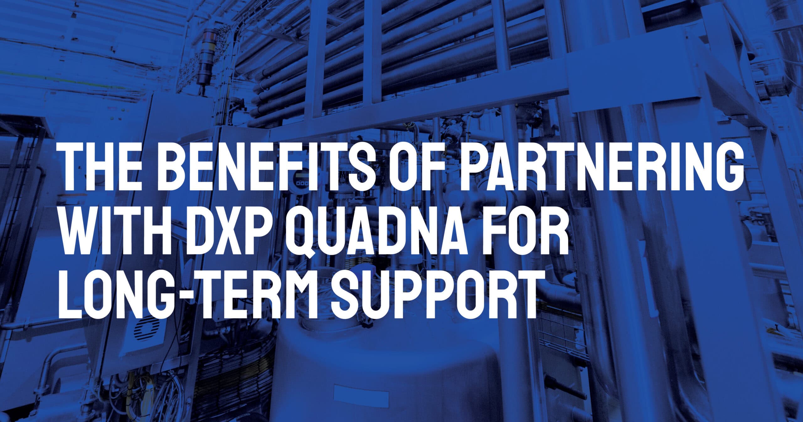 The Benefits of Partnering with DXP Quadna for Long-Term Support