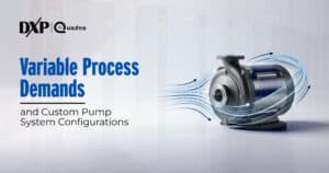 Variable Process Demands and Custom Pump System Configurations - DXP Quadna