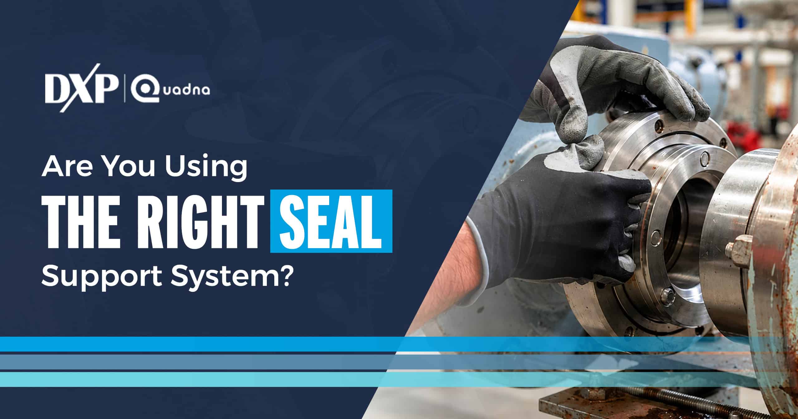 Selecting the Right Seal Support System